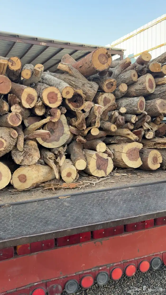 صندوق شحنة دينا 0