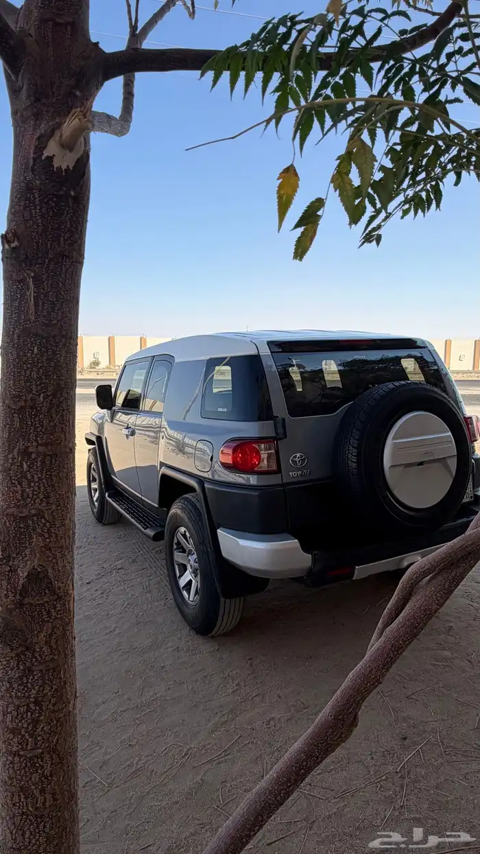 اف جي 2015 سعودي فل سمنتي 5