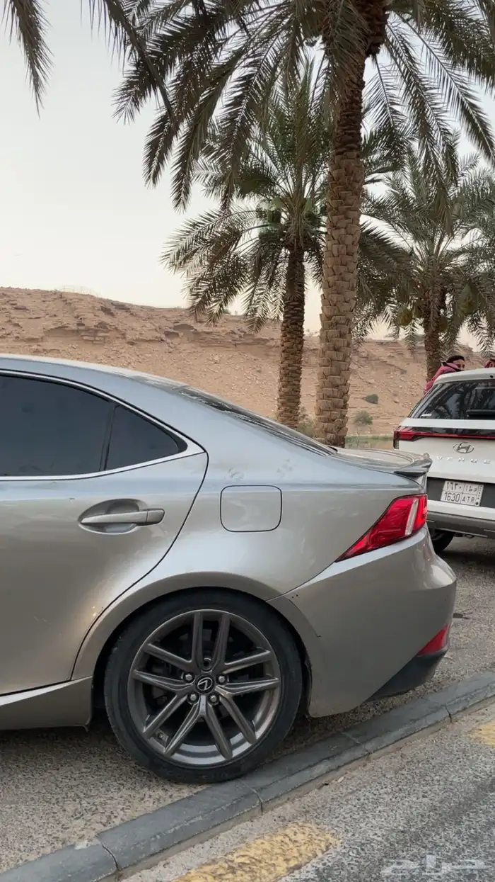 لكزز ارنوب 2016 فل الفل 17