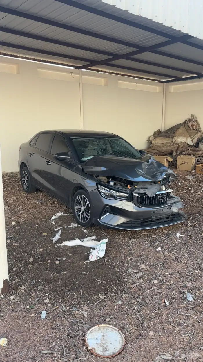 جيلي امجراند 2