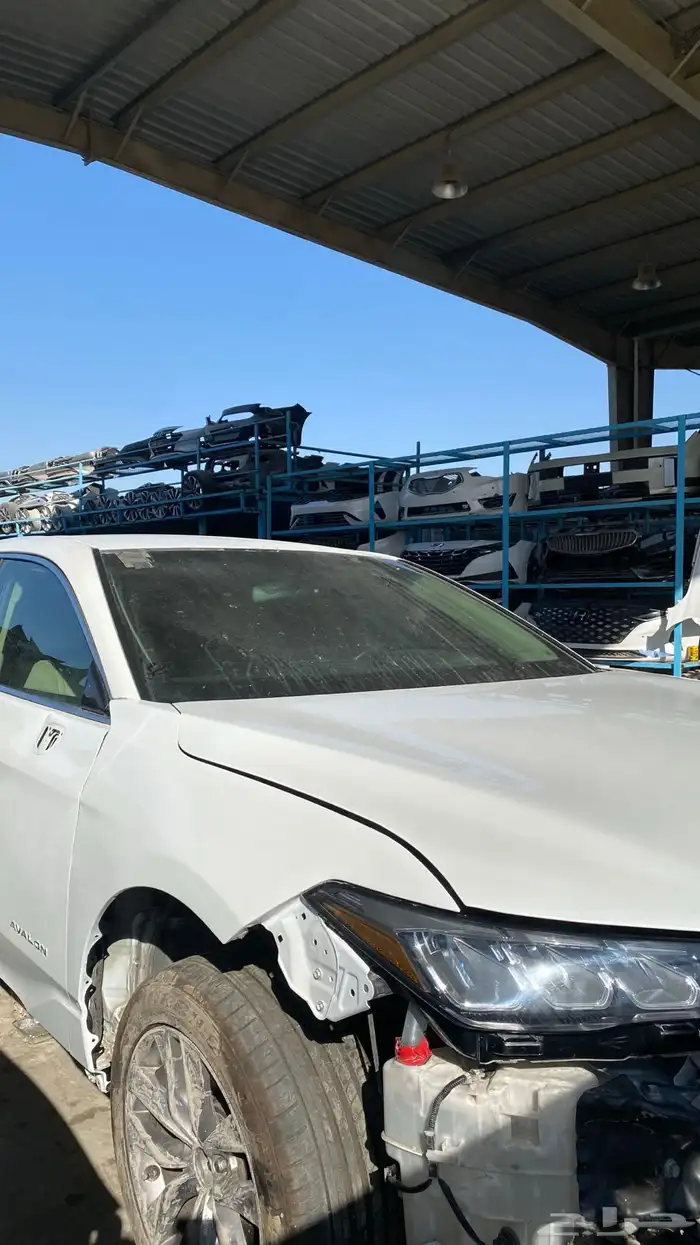 افلون 2019 (تشليح) 1