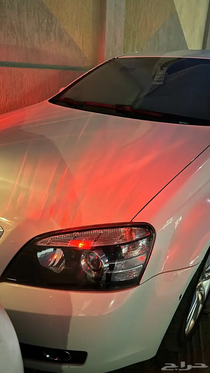 كابرس 2015 ابيض شرط 5