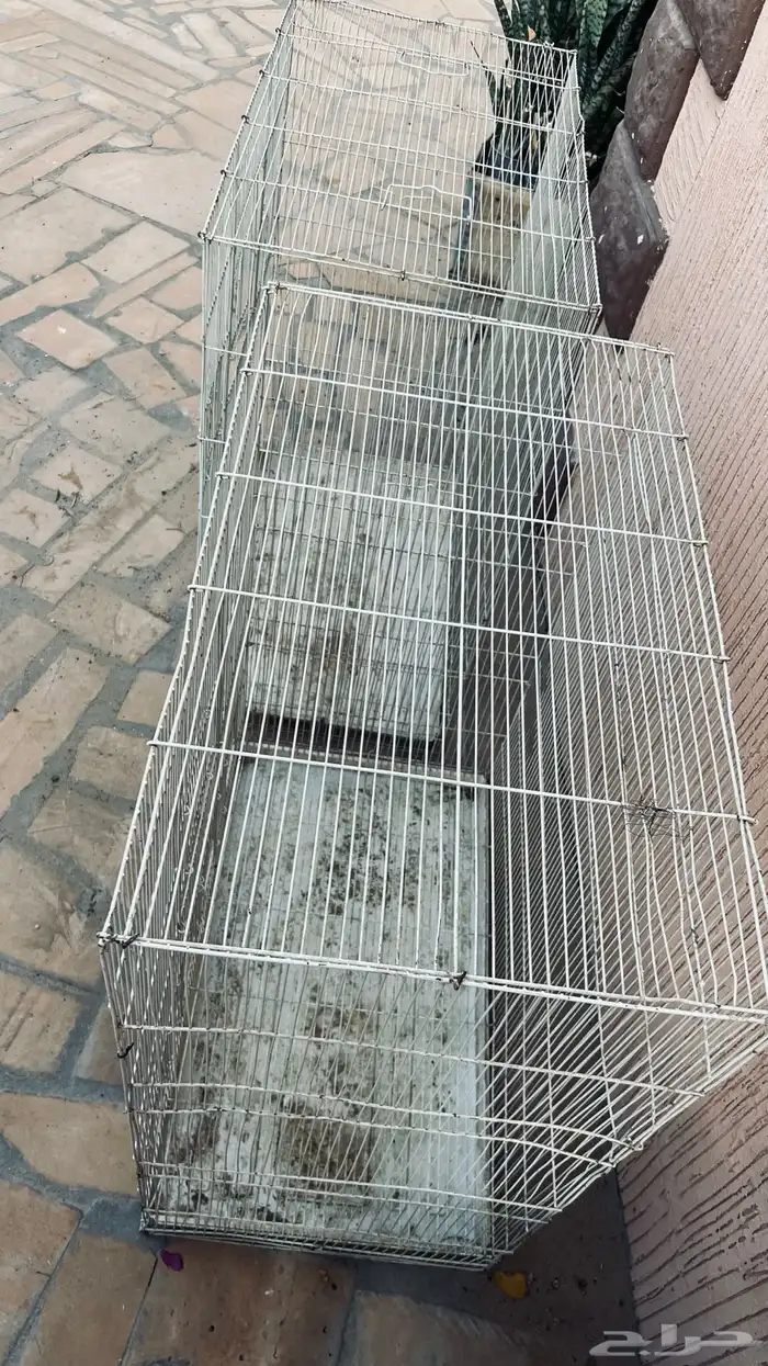 مطير طيور 2للبيع في بيشة 5