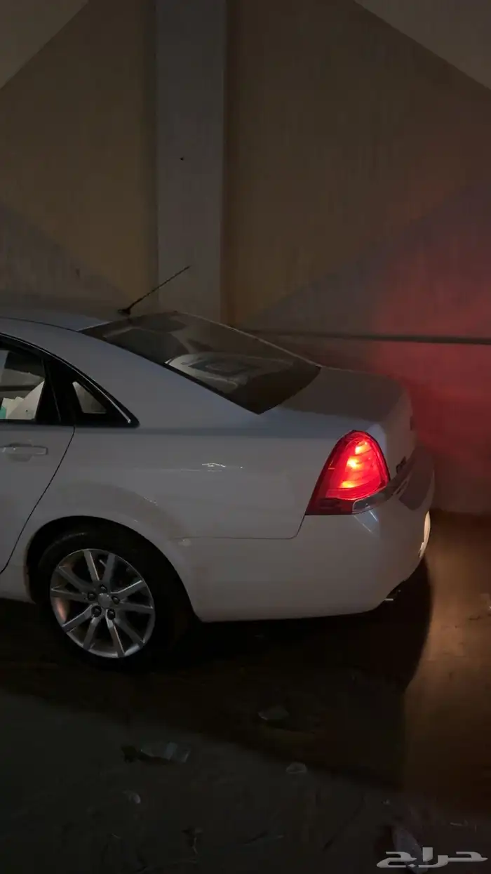 كابرس 2015 ابيض شرط 14