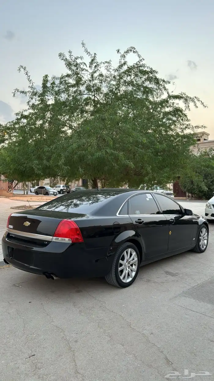 كابرس للبيع 2014 5