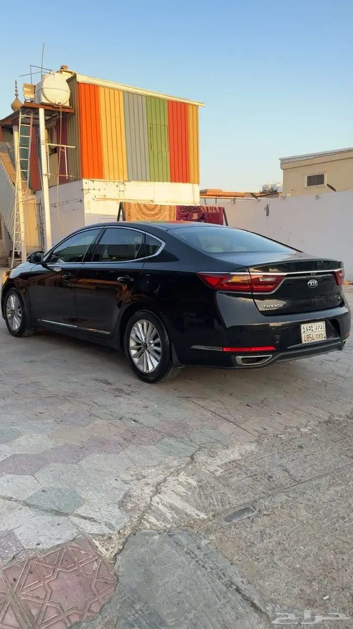 كادنزا للبيع 1