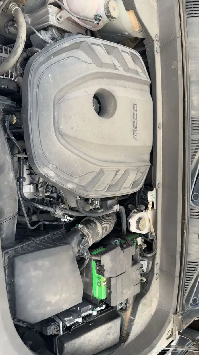 جيلي مونجارو 2024 25