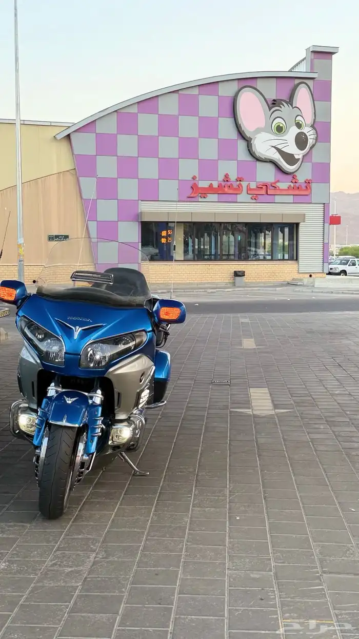 قولد وينق 2012 4