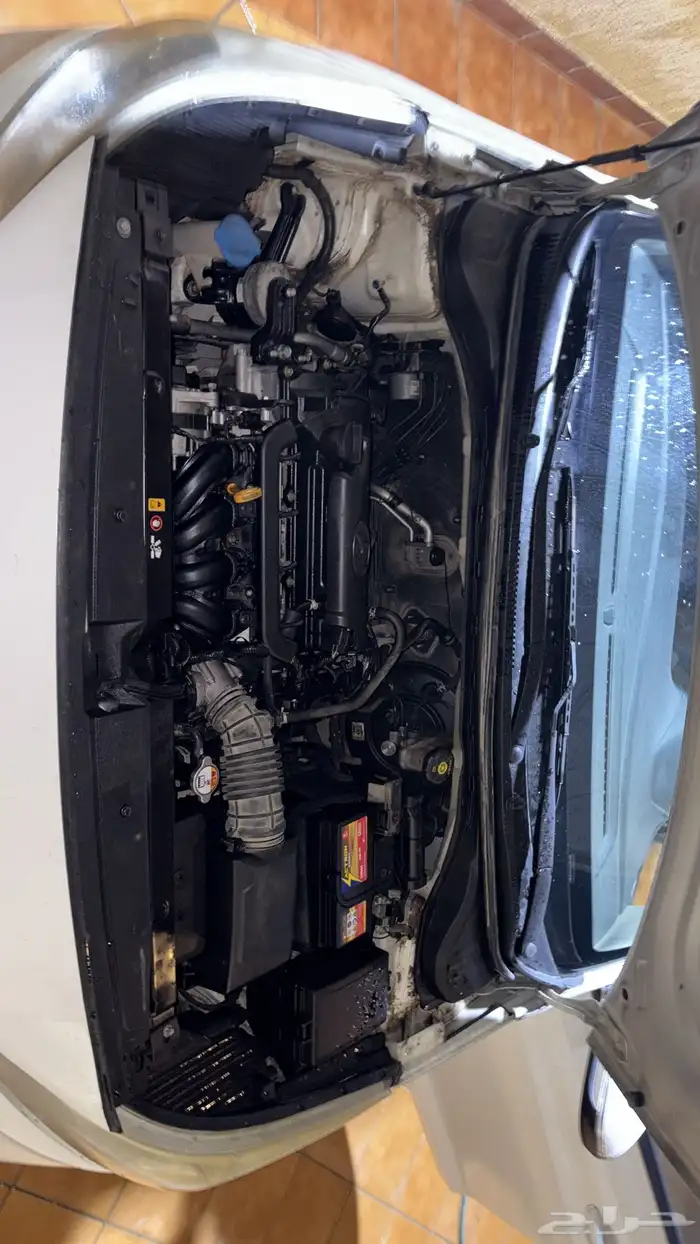 اكسنت 2018الدفعه الجديده 0