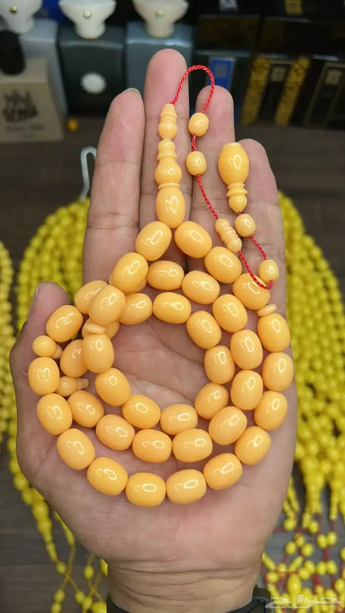 ضومنه صب جديد 11