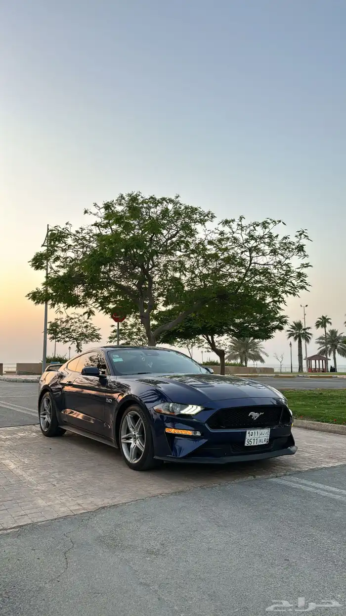 موستينج V8 برفورمنس بكج موديل 2020 فئة 55 عاما 5