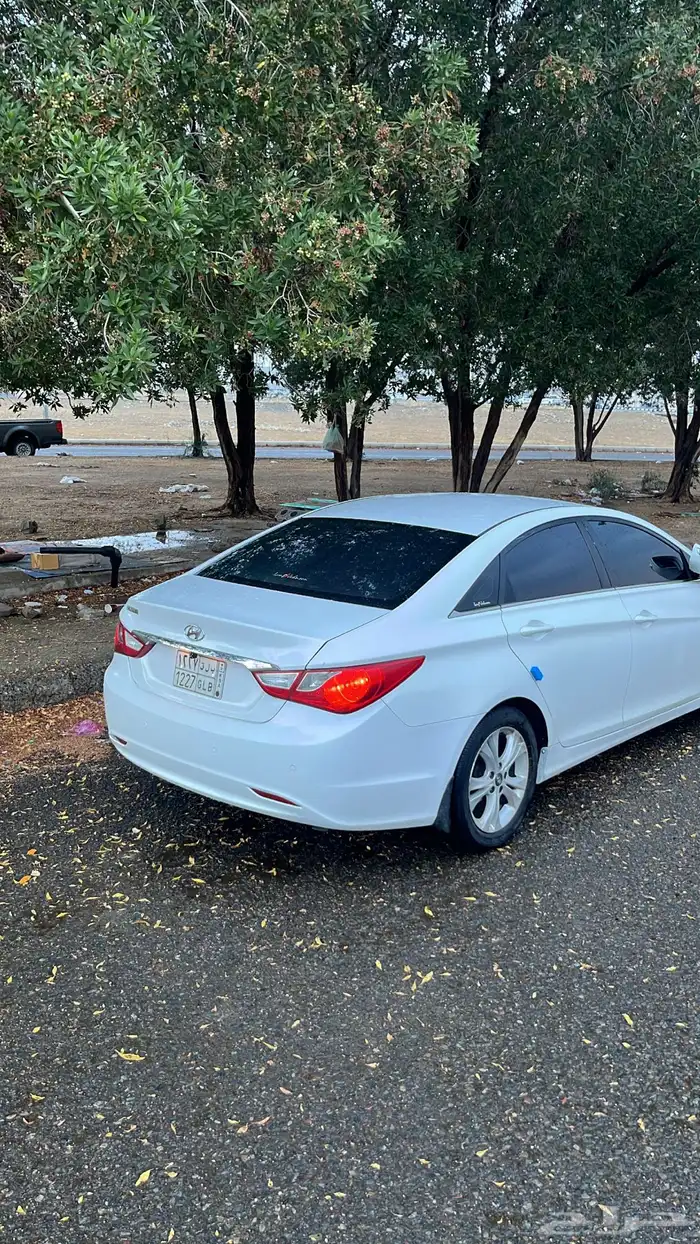 سوناتا للبدل 20