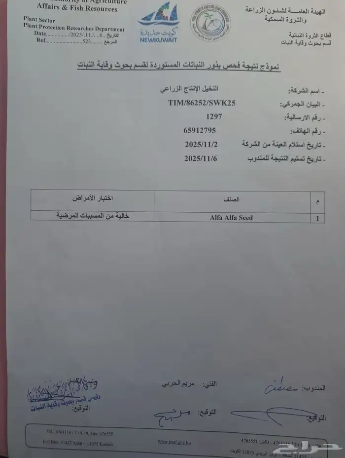 بذور برسيم أمريكي 2