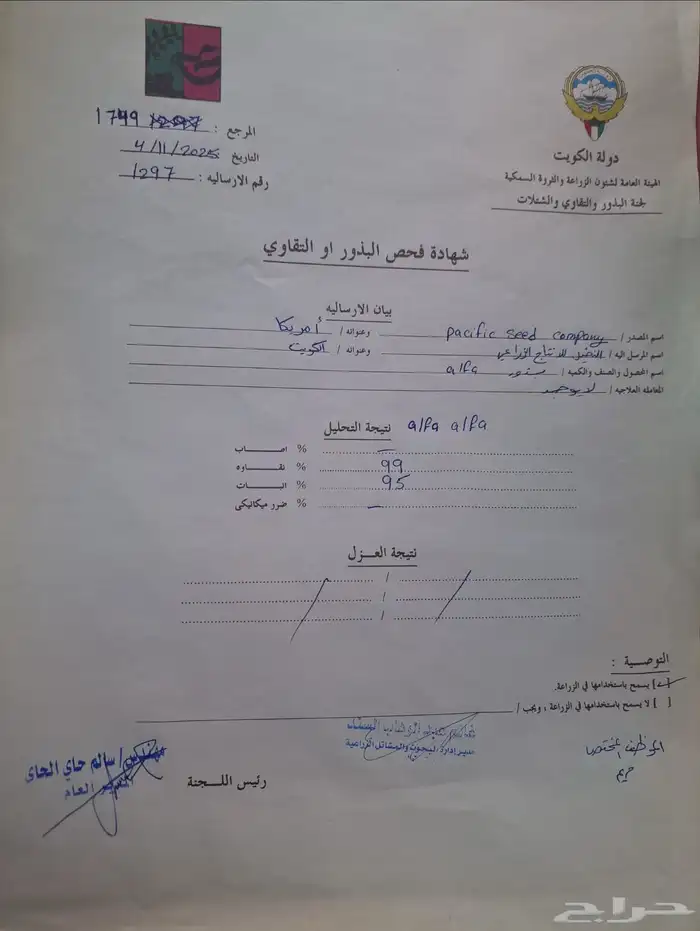 بذور برسيم أمريكي 3