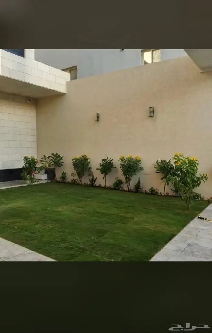 يوجدلديناجميع انواع انخل العربي والواشنطن ازينه 10