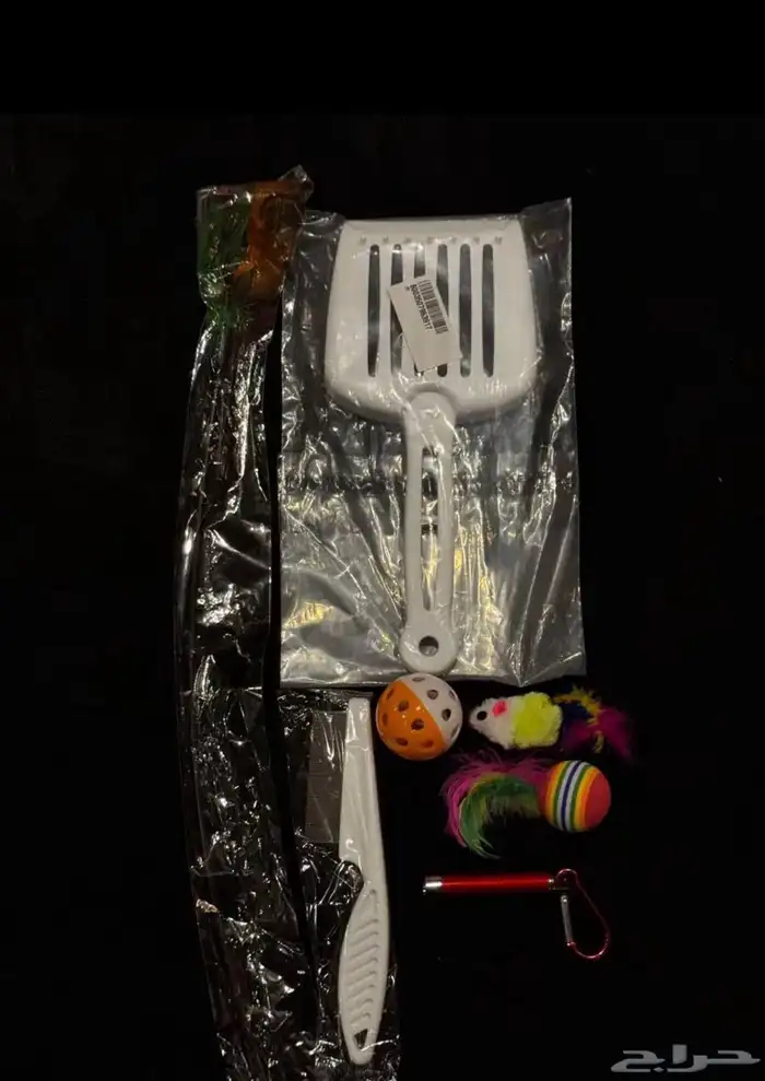 للبيع   قط هيمالايا ذكر 2