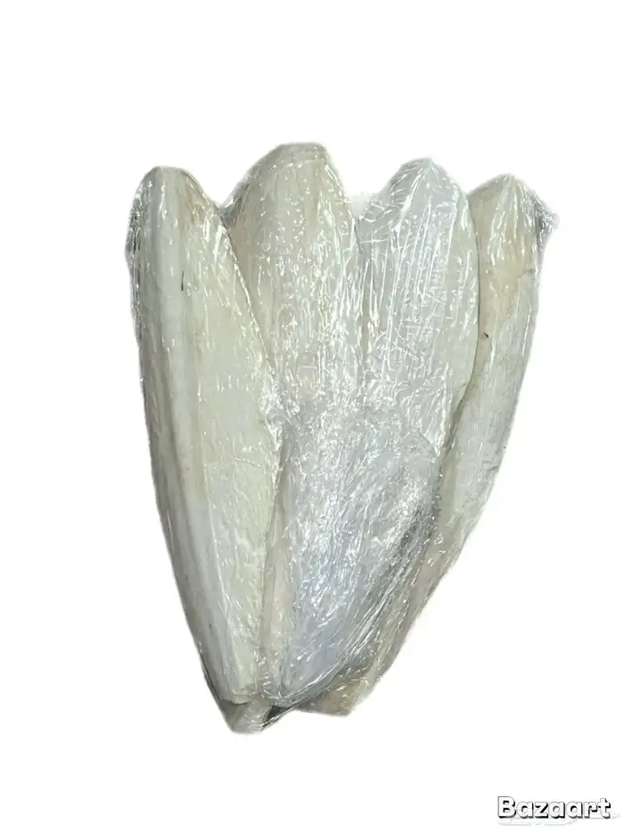 عظم حبار احجام 1