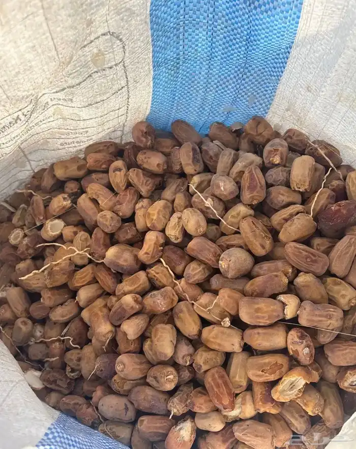 للبيع تمر اعلاف 3