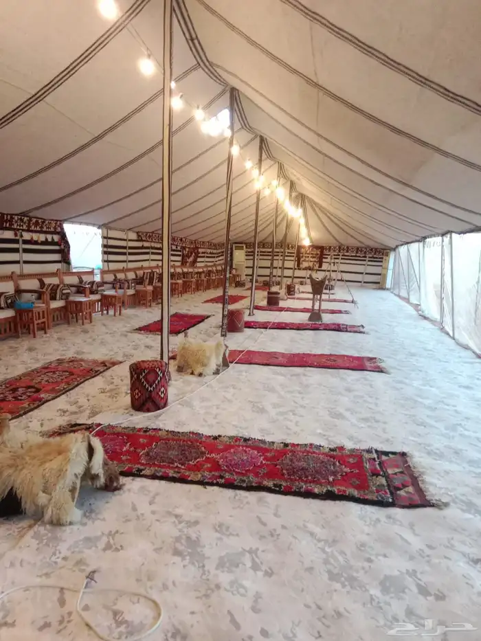 تأجير وتجهيز ارقى المخيمات بيوت شعر خيام جميع انوع الاثاث 2