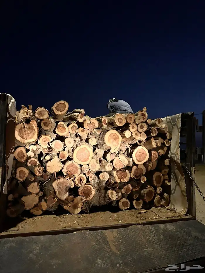 سمر شرط. مبروم وشلايخ دنه سبرجانبو 0