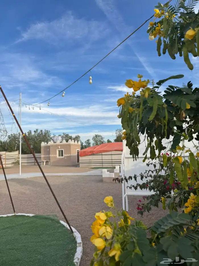 مخيم مخيمات ليالي الريف 2