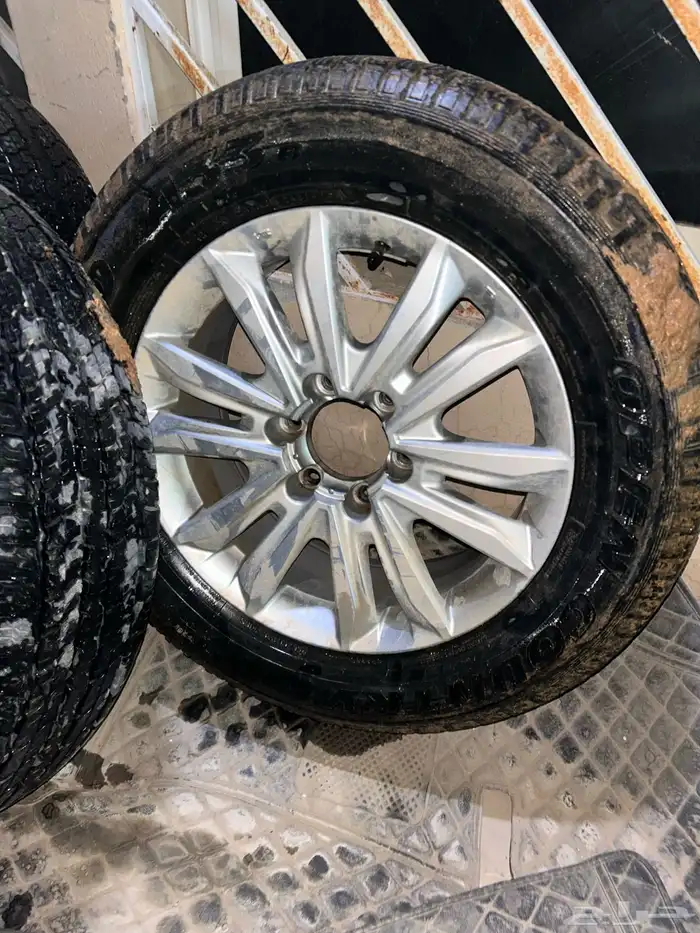 جنوط ديماكس 2020 4