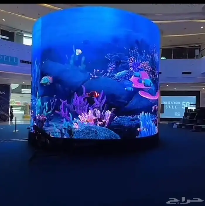 تركيب شاشات عملاقة   كرم ستار 1