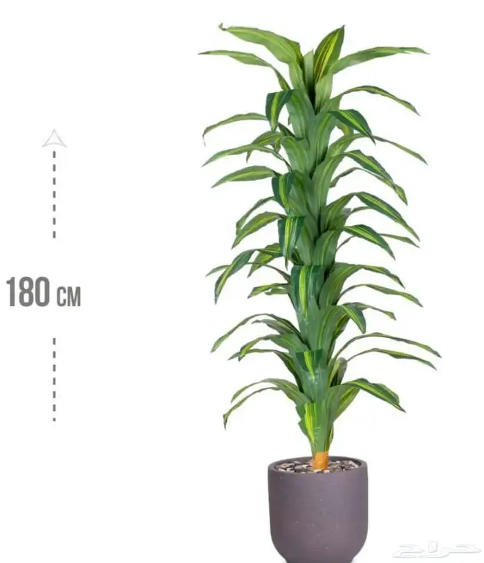 اشجار صناعية 13