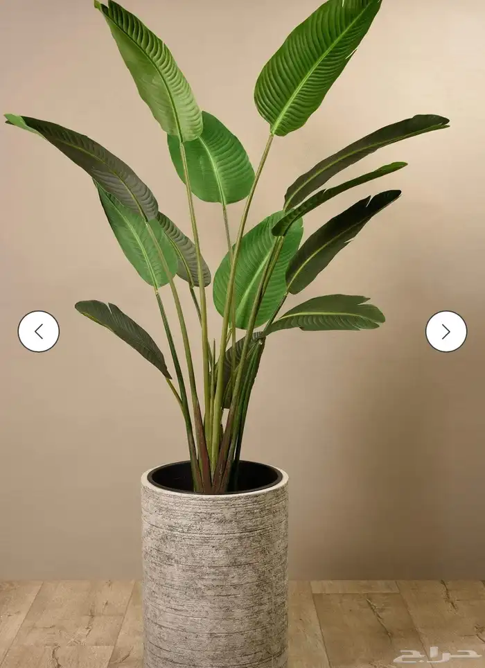 اشجار صناعية 7