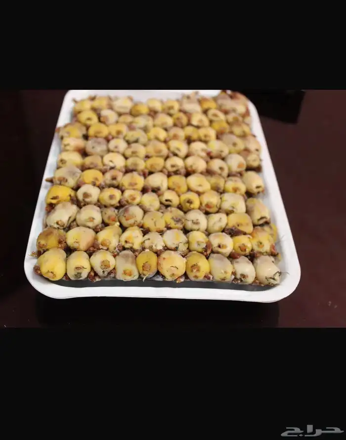 حمام دخل فل شحم 1