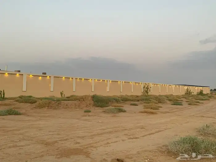 للبيع مزراعه في مركز السيباني 17