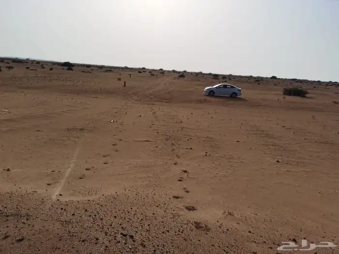 للبيع نصف ارض حي الوداد طيبة الفرعية 250 الف 3