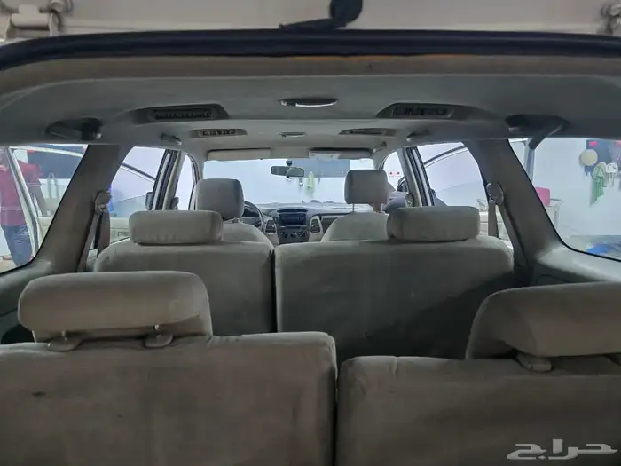 أنوفا 2009 قمة في النظافة 11