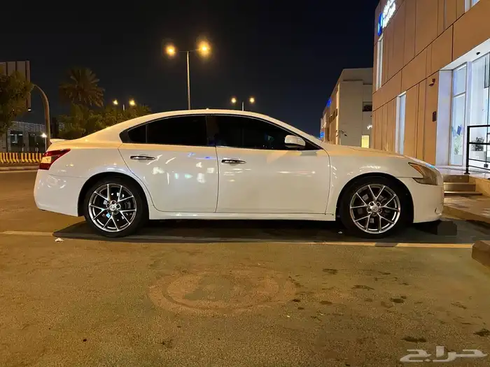 نيسان ماكسيما 2010 7