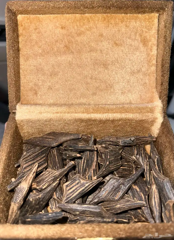 عود أزرق طبيعي 5