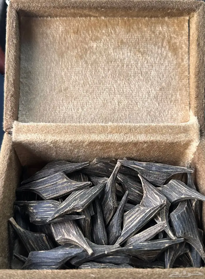 عود أزرق طبيعي 2