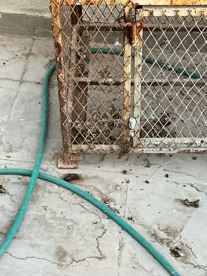 محكر حديد 3 ادوار 2