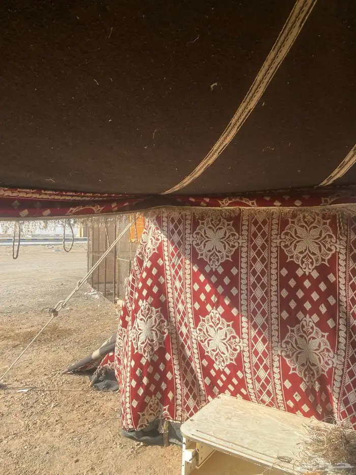 خمتين بيت شعر مقاس 14في 6 ومقاس 7في 5 تقريبا 3