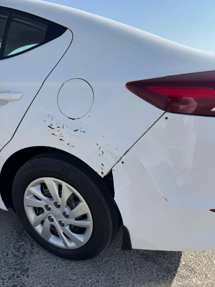 النترا 2018 - تم البيع 8