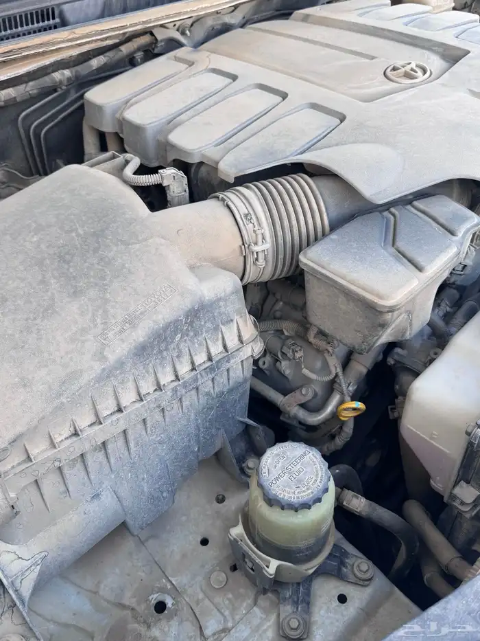 جكسار ( 3 نظيف سعودي ) 89