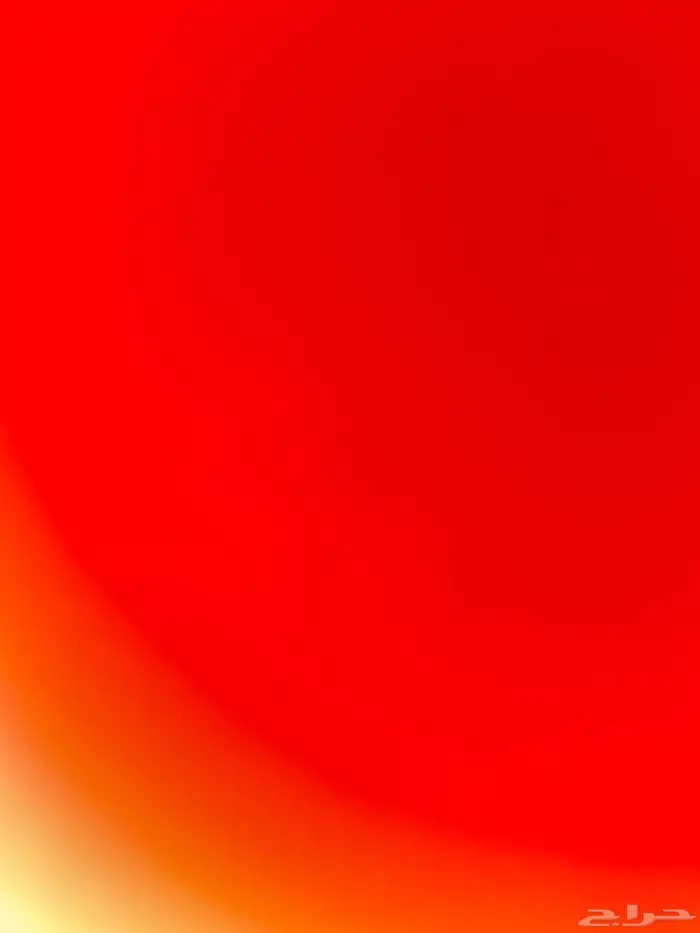 دجاج بلدي فيه البياض وفيه على وشك 0