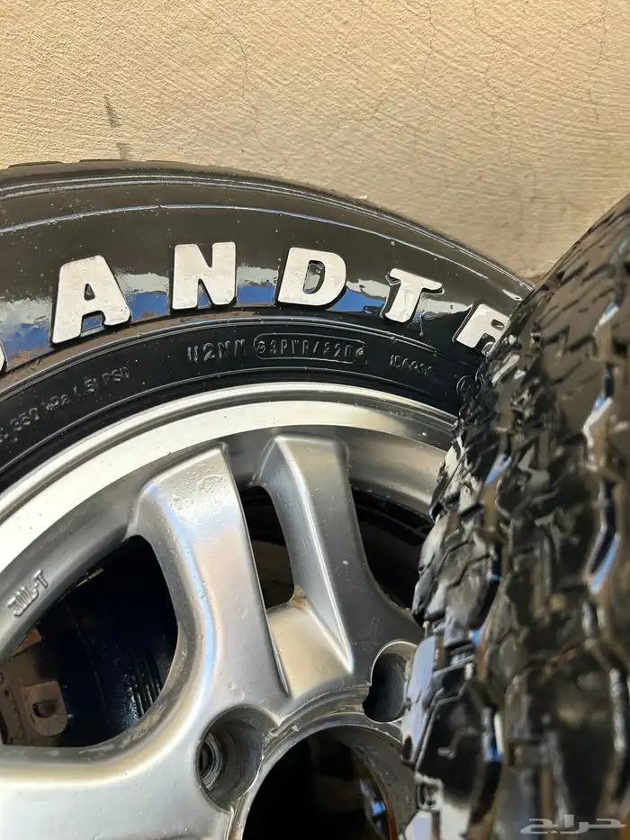 جنوط الحميد 2