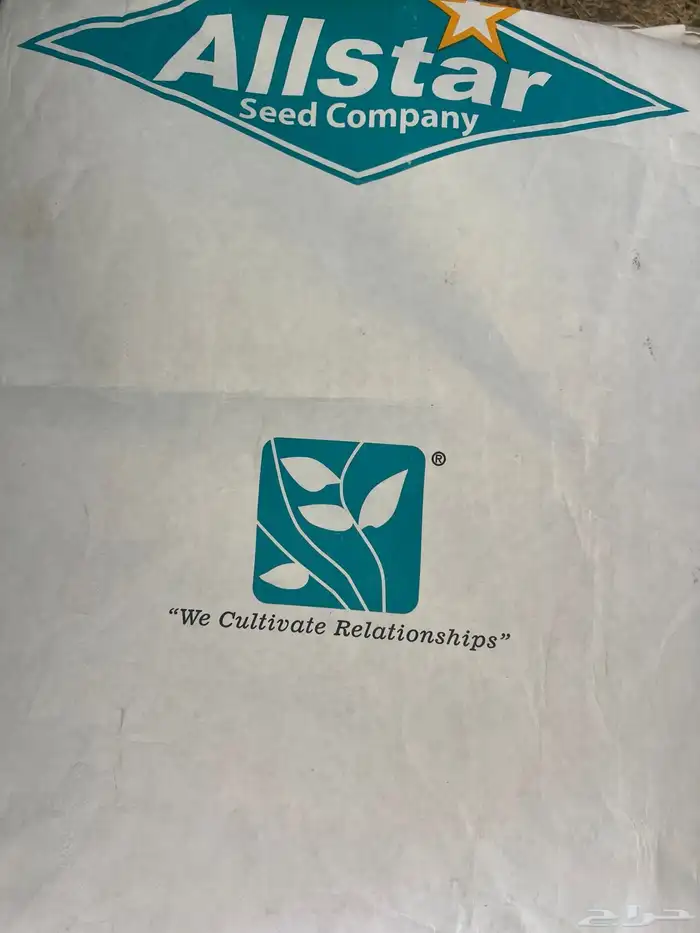 برسيم للبيع 0