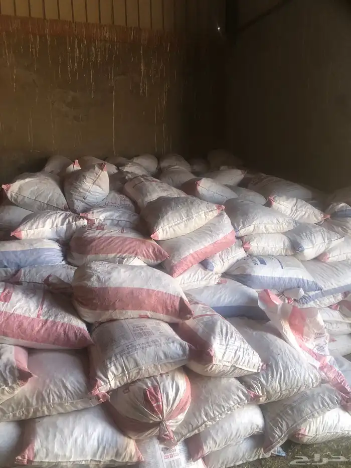 للبيع تمر علف 3