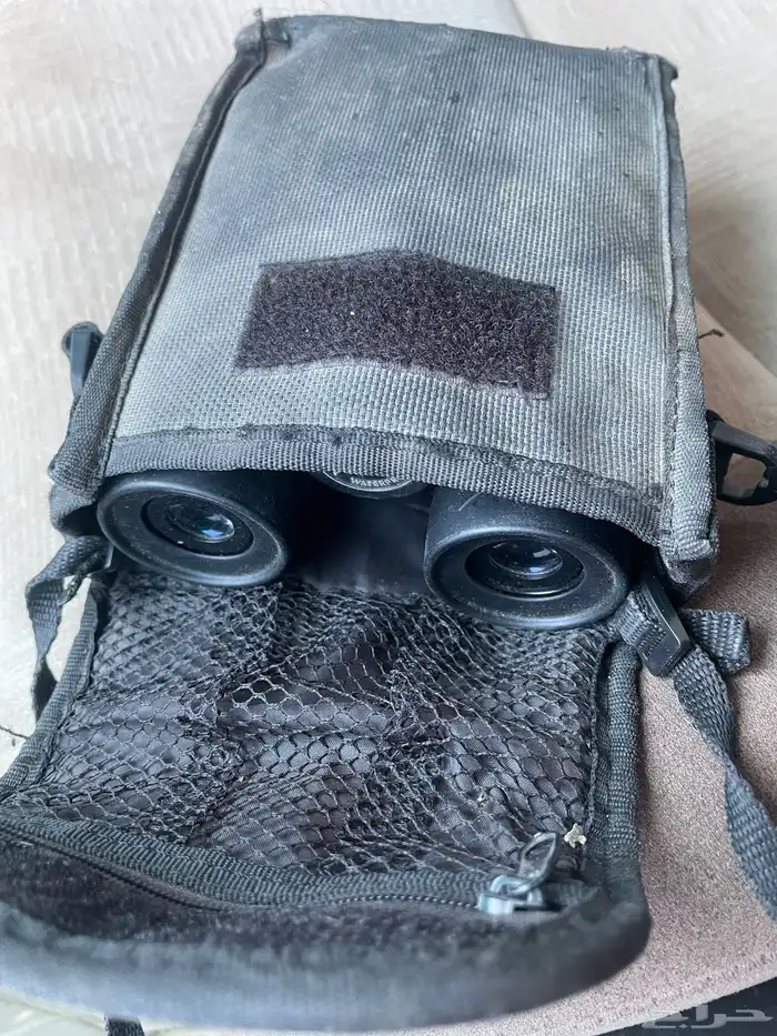 دربيل بورسوت امريكي للبيع 5