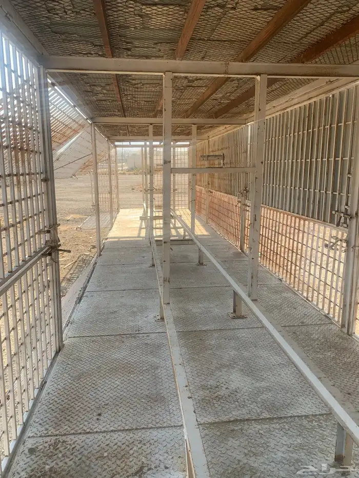 تيدر مفصل للنحل ..للبيع 2