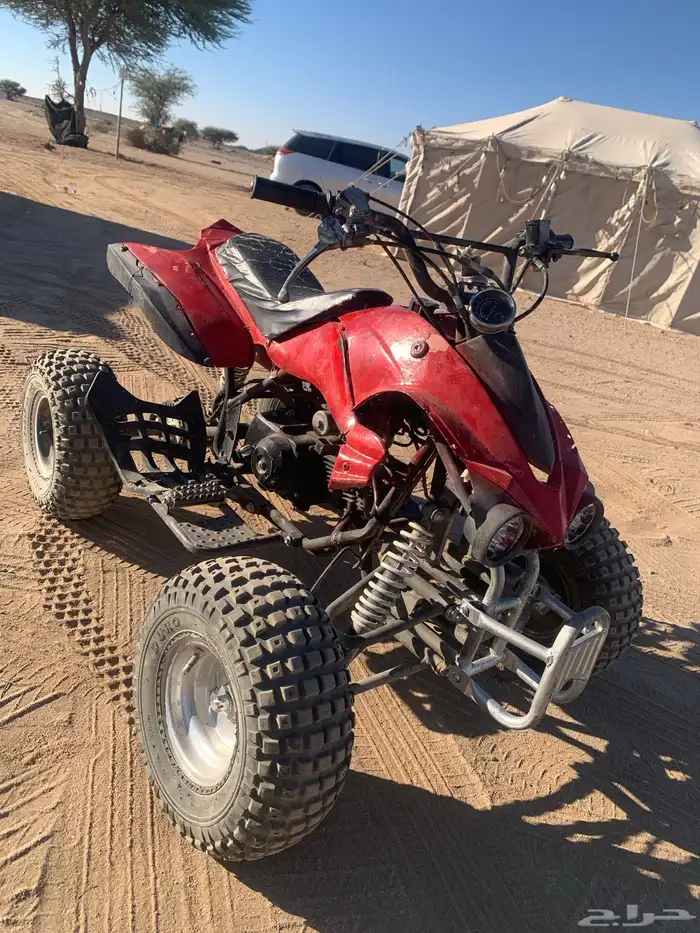 البيع دباب الحجم الكبير 0