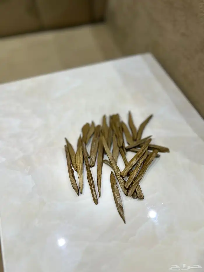 عود سلا فتنامي محسن 0