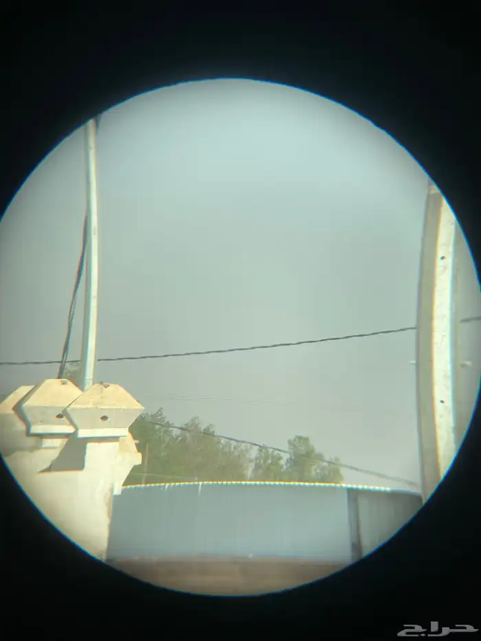 دربيل بورسوت امريكي للبيع 2