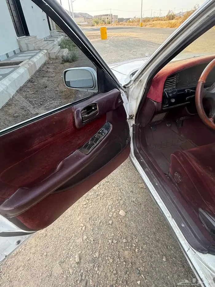 كراسيدا قزاز كهرب مفحوص مجدد 5